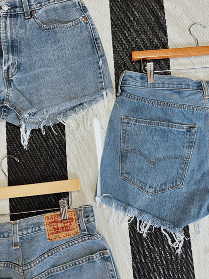 Upcycled Levi Shorts